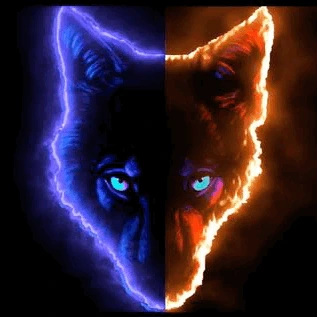 ShadowWolfProfilBild