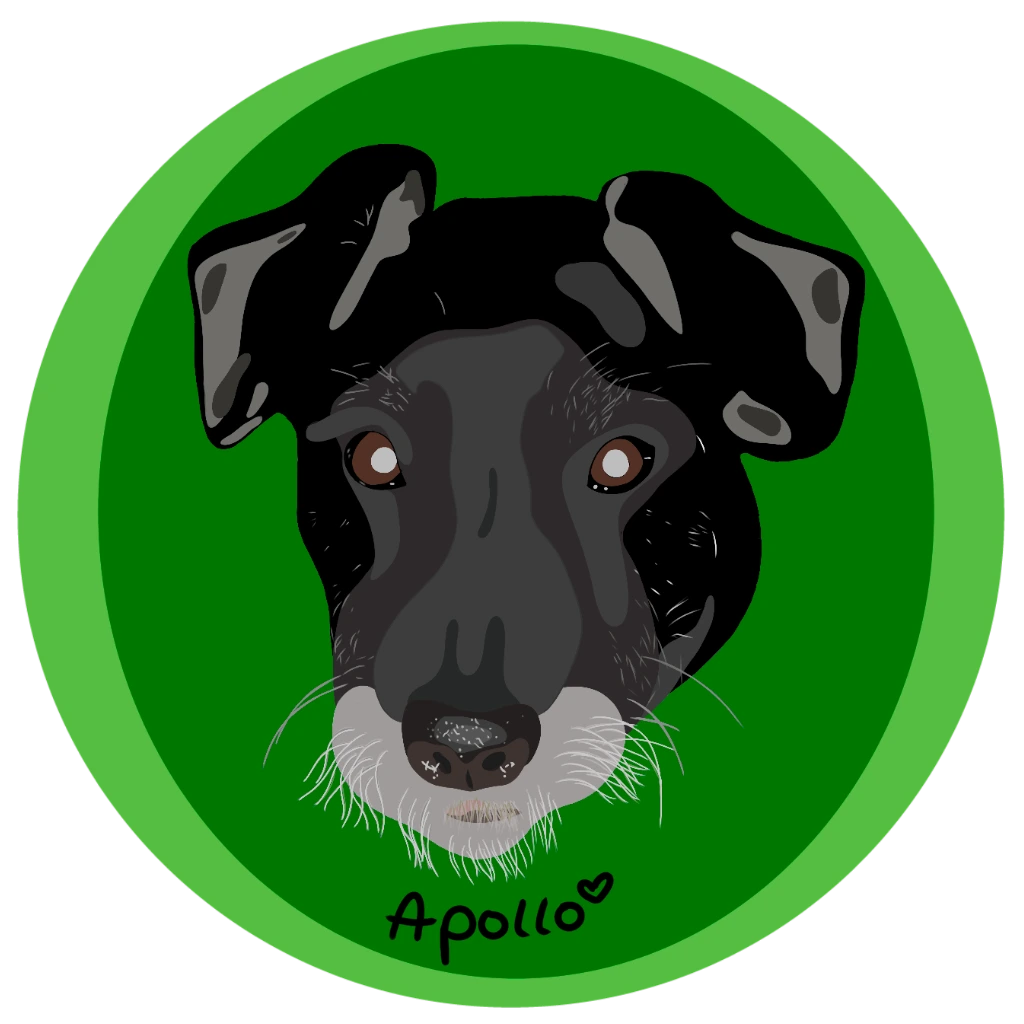 JacoONeillProfilBild